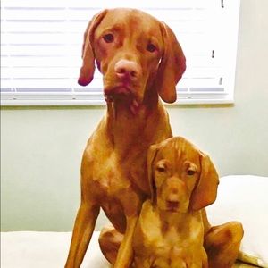 Meet your Posher, Gregg